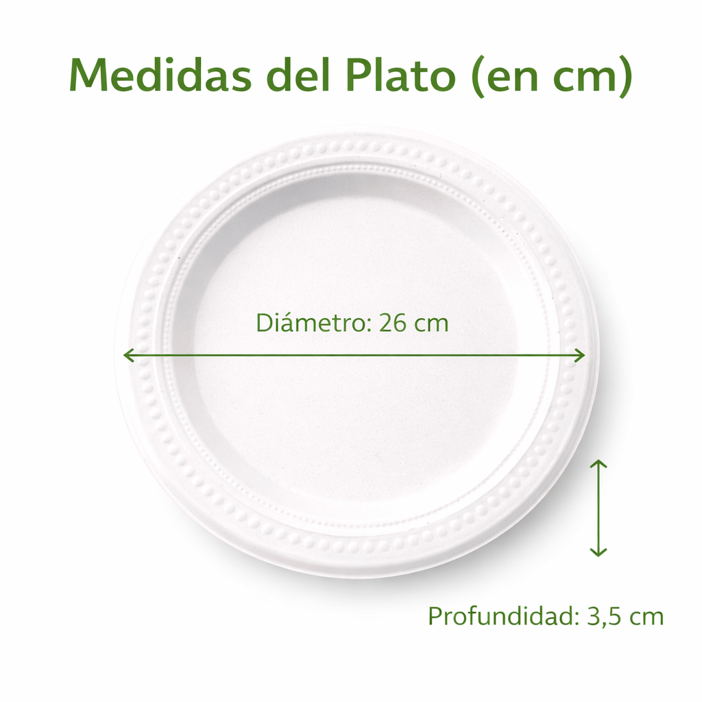 Plato Grande Compostable de Caña de Azúcar
