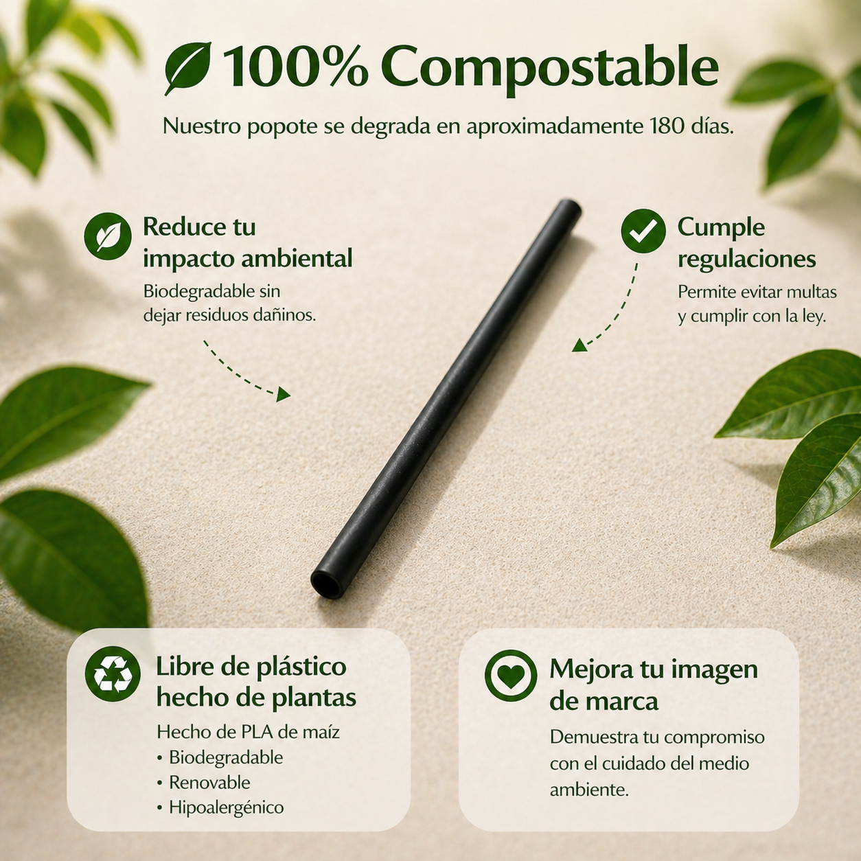 Popote Black Estuchado Compostable