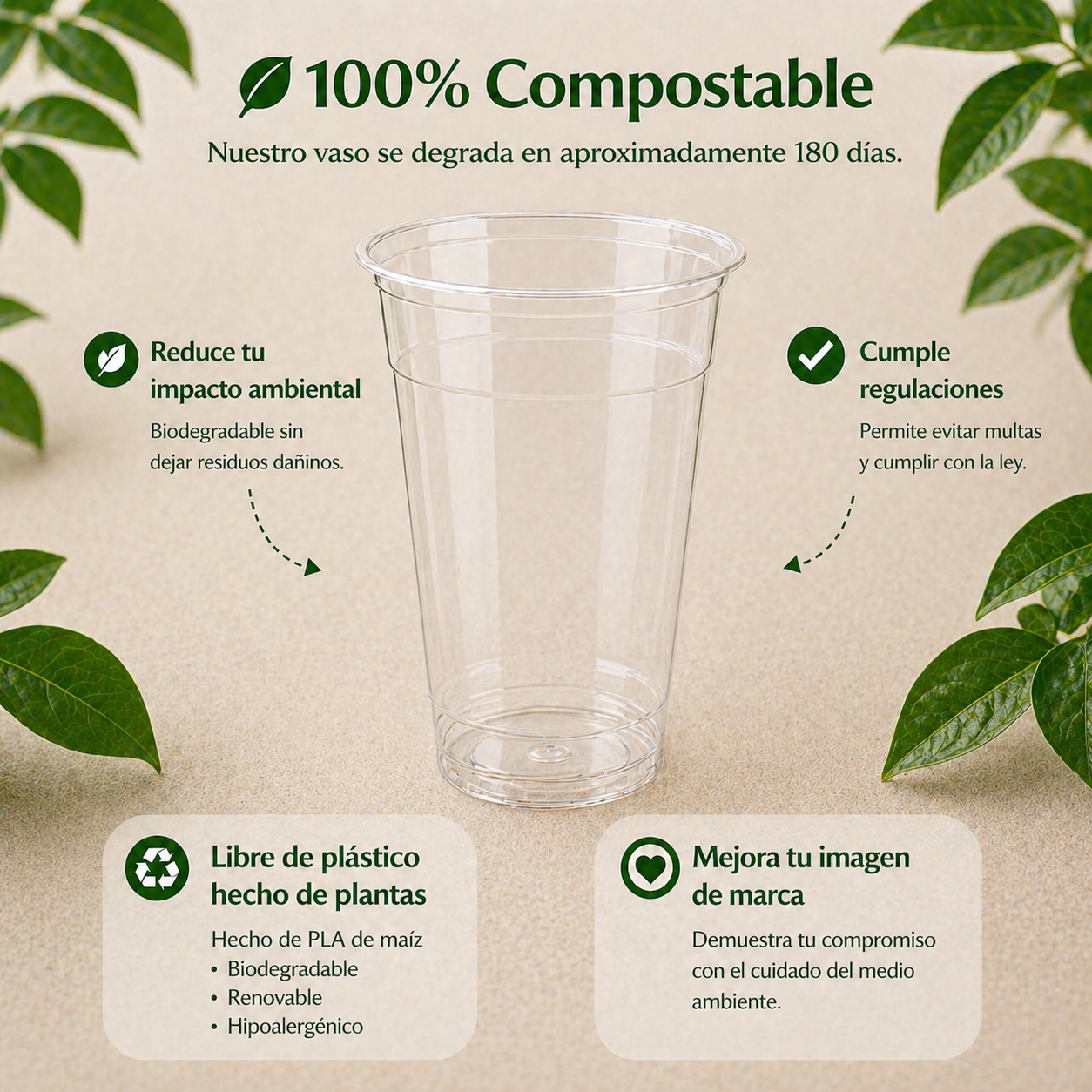 Vaso Transparente 20 Oz Compostable