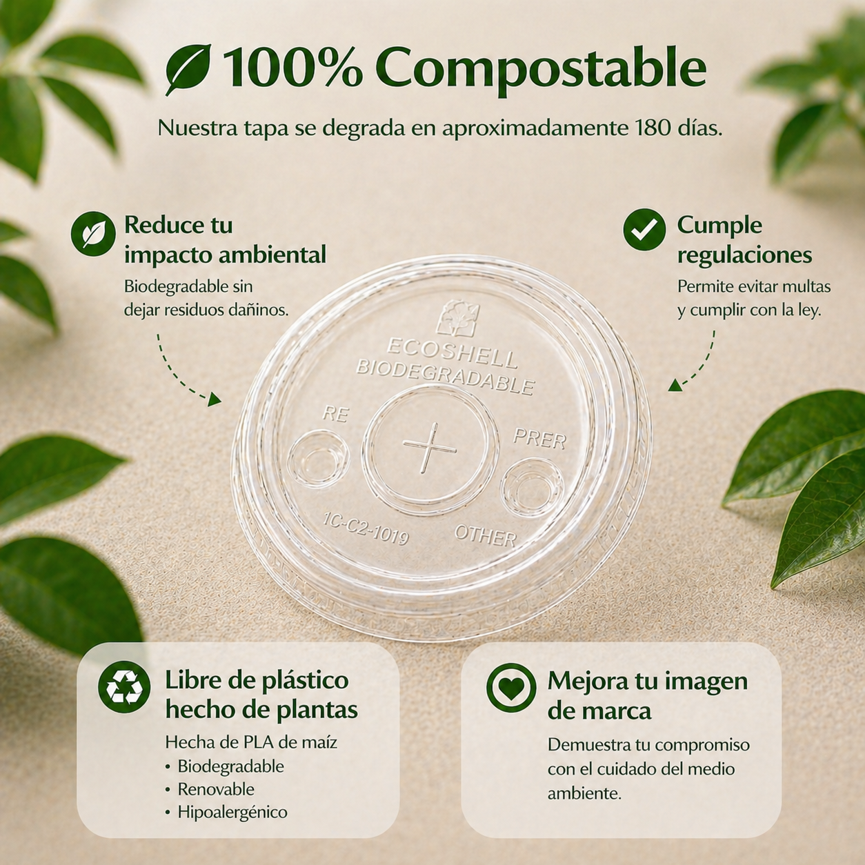 Tapa Transparente 12, 16 Y 24 Oz Con Agujero Compostable